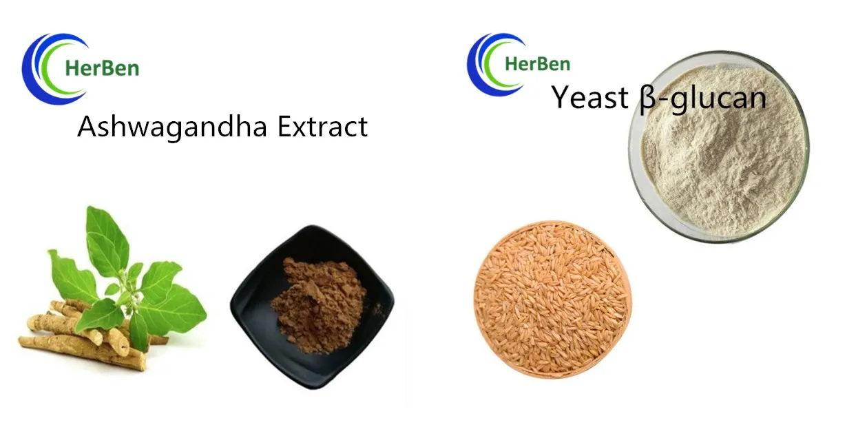 Ashwagandha extract Yeast